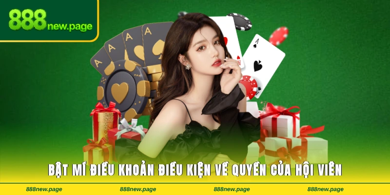 điều khoản điều kiện