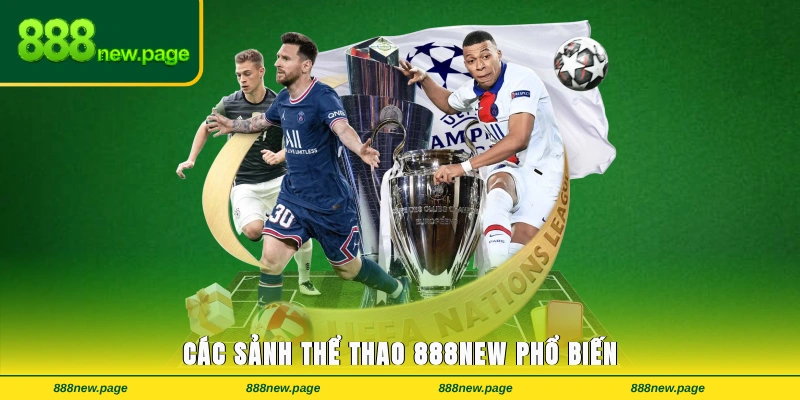 Các sảnh thể thao 888new phổ biến