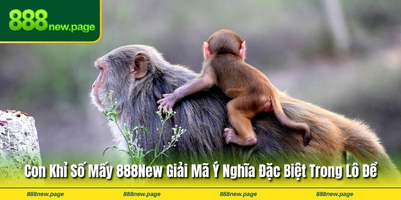 Con Khỉ Số Mấy