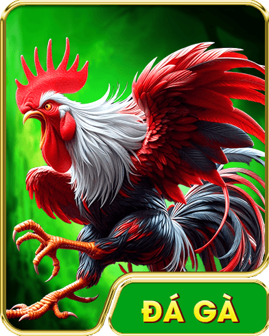 đá gà 888new
