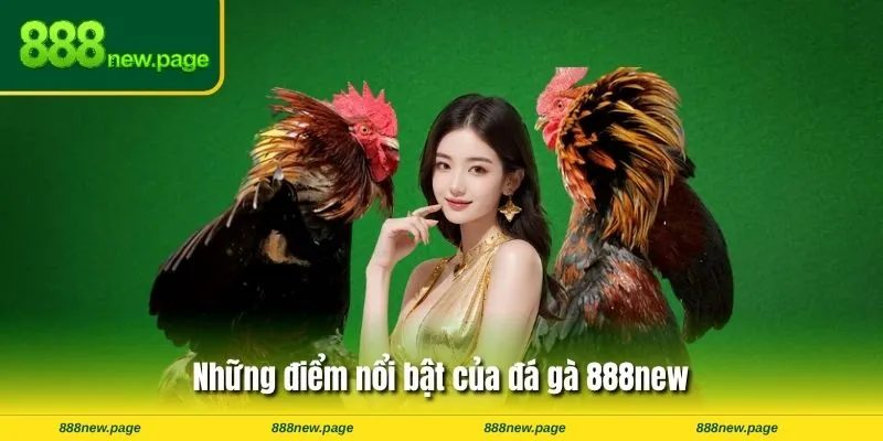 Những điểm nổi bật của đá gà 888new