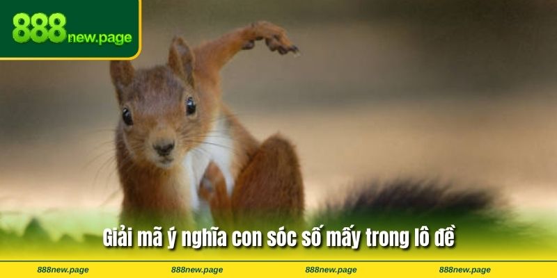 Giải mã ý nghĩa con sóc số mấy trong lô đề