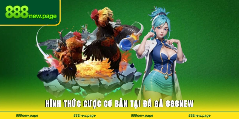 Hình thức cược cơ bản tại đá gà 888new