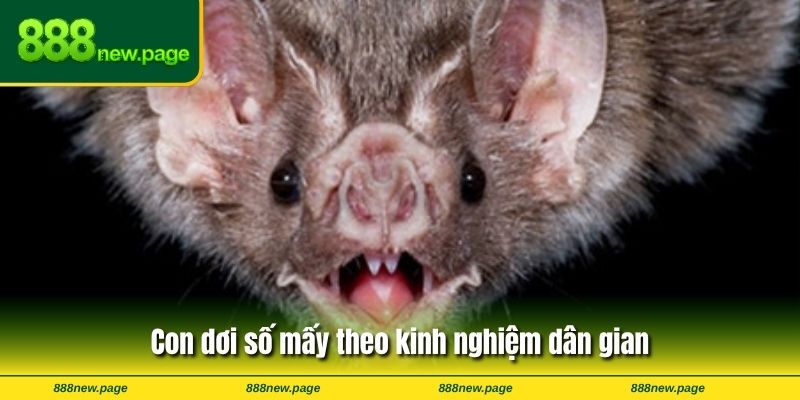 Con dơi số mấy theo kinh nghiệm dân gian