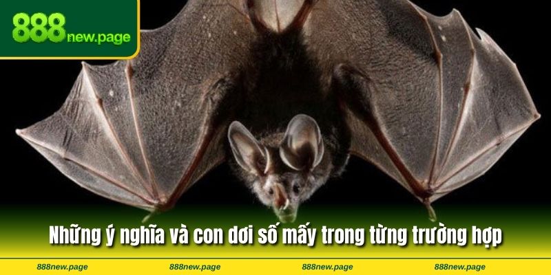 Những ý nghĩa và con dơi số mấy trong từng trường hợp