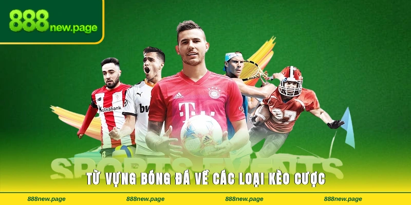 Từ vựng bóng đá về các loại kèo cược