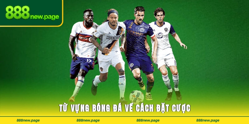 Từ vựng bóng đá về cách đặt cược